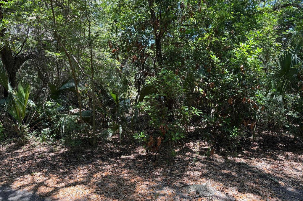 Property photo 3 of 3 <Alttext/>