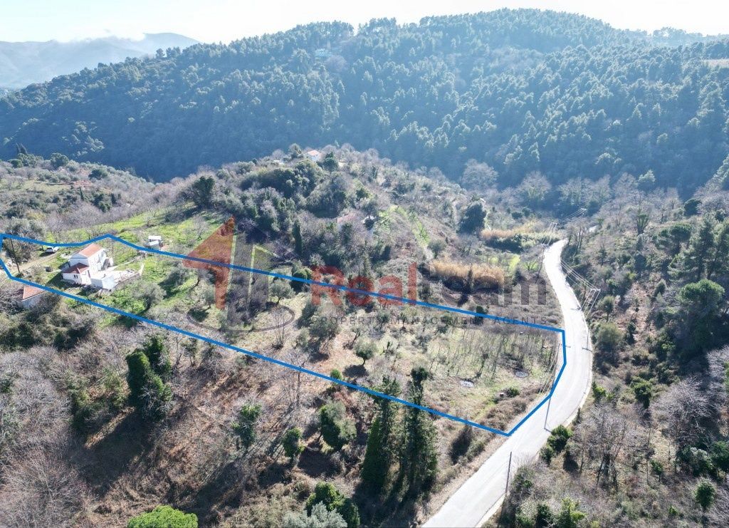 Property photo 3 of 25