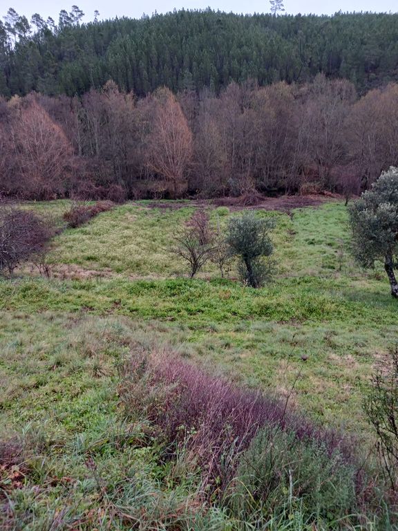 Property photo 3 of 3