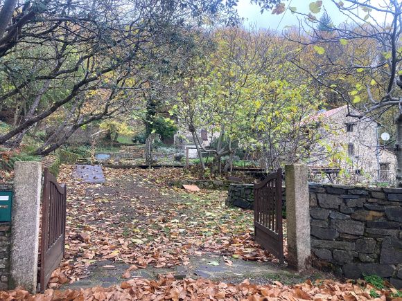 Property photo 3 of 21