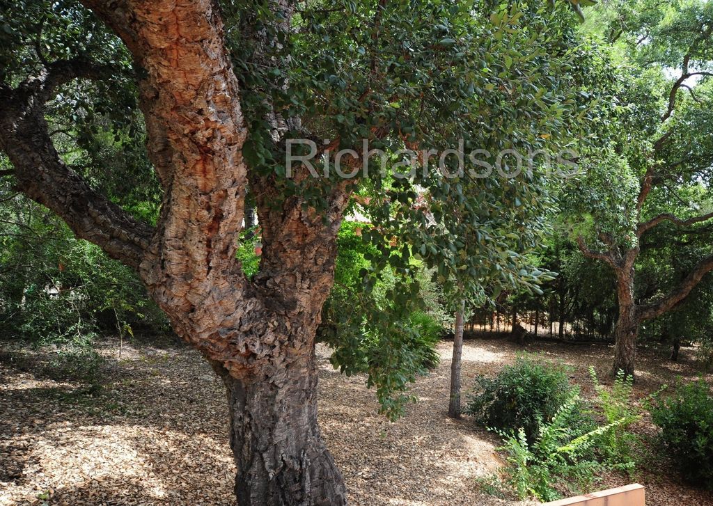 Property photo 2 of 39 <Alttext/>