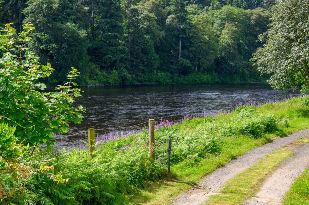 Property photo 3 of 33 Riverbank