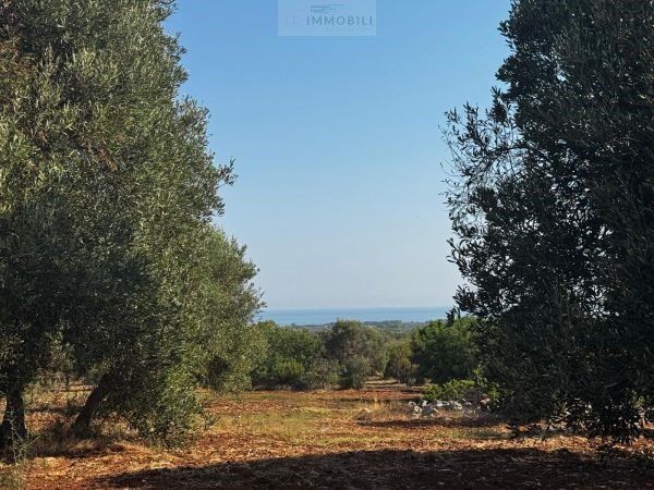 Property photo 1 of 22 New Entry!  Sea-View Plot With Trullo For Sale In Carovigno (Br)