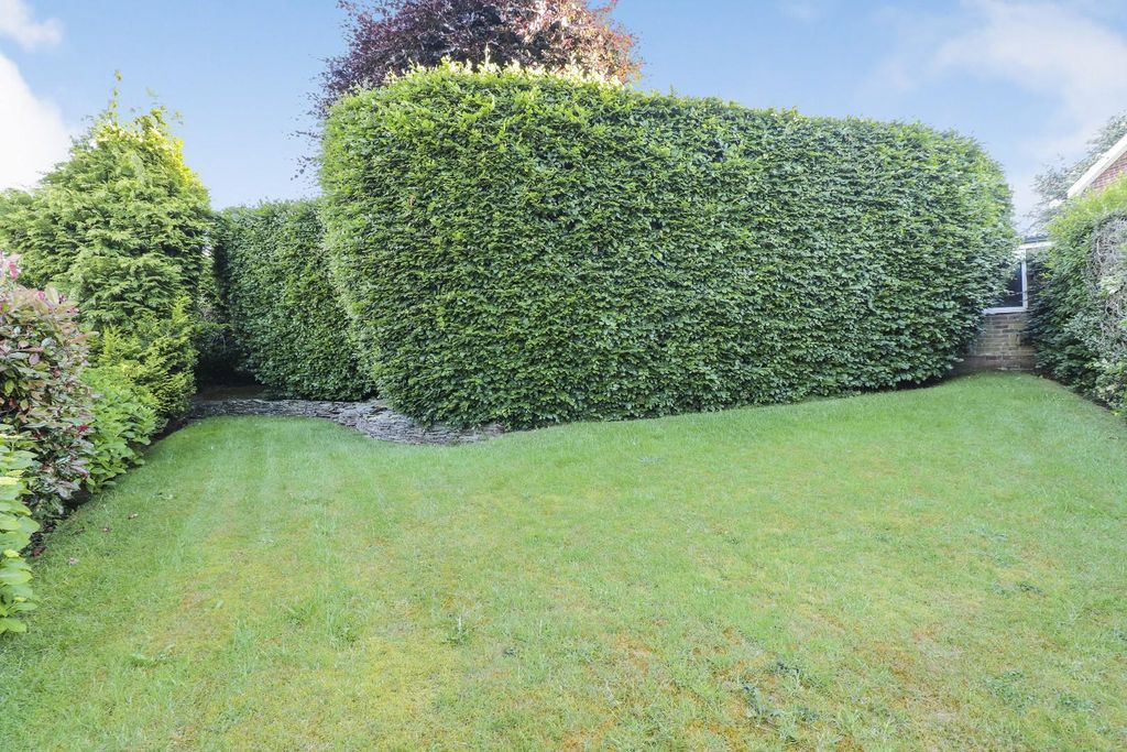 Property photo 3 of 19 Img_3931.Jpg