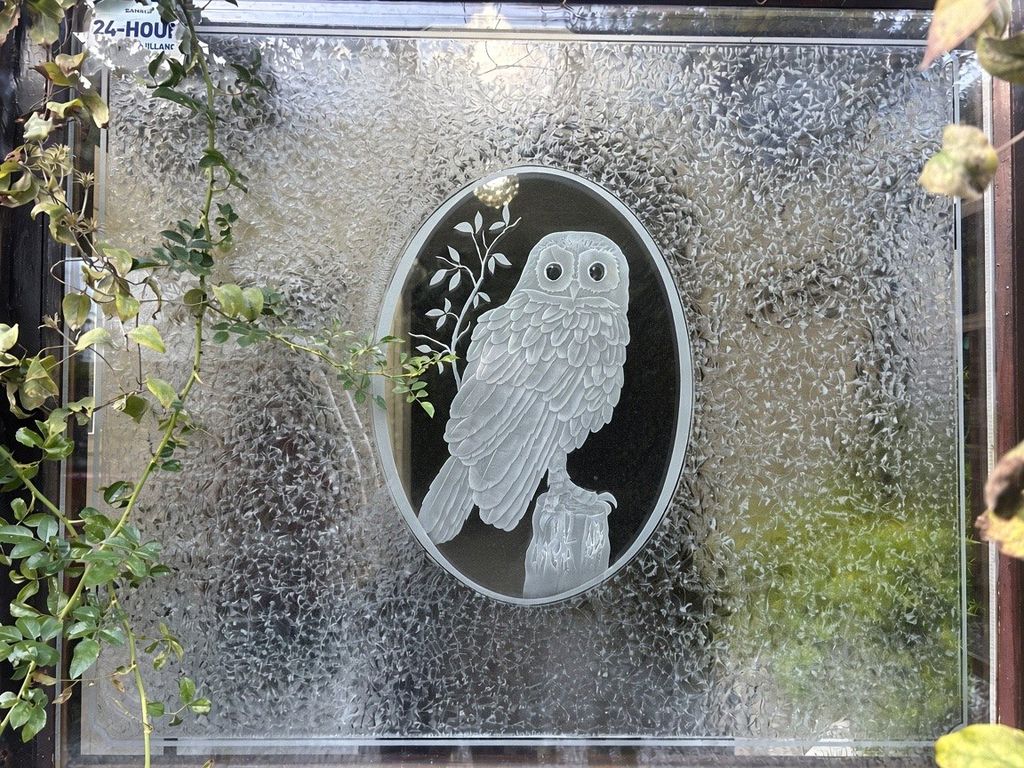 Property photo 3 of 21 Feature Owl Glass