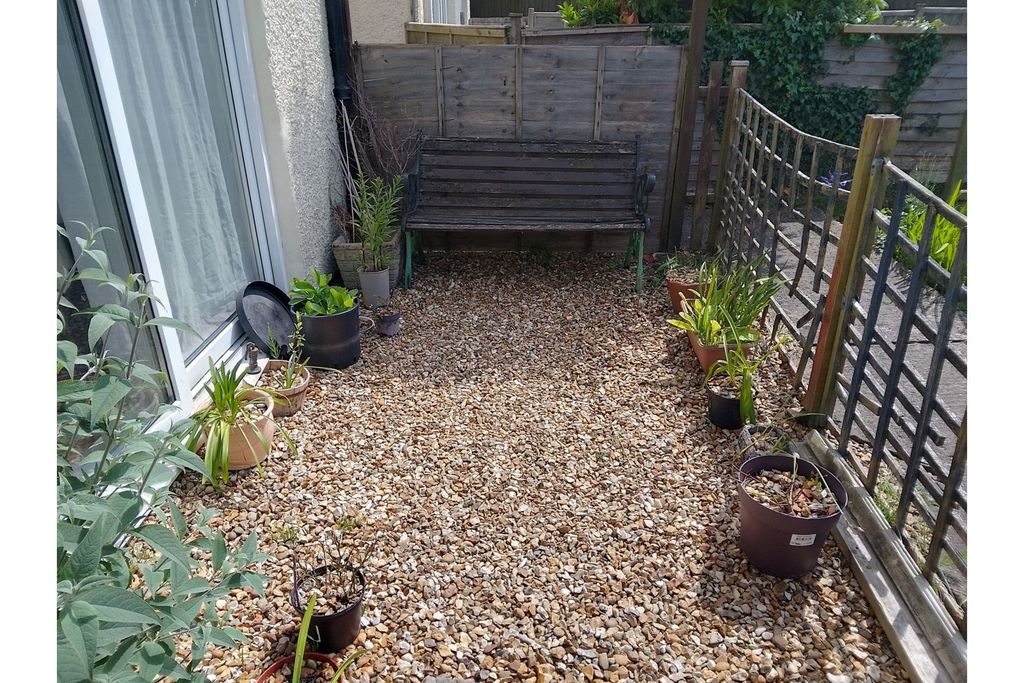 Property photo 3 of 20 Patio