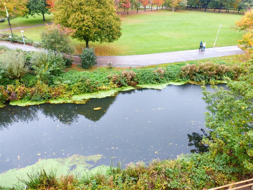 Property photo 3 of 17 View