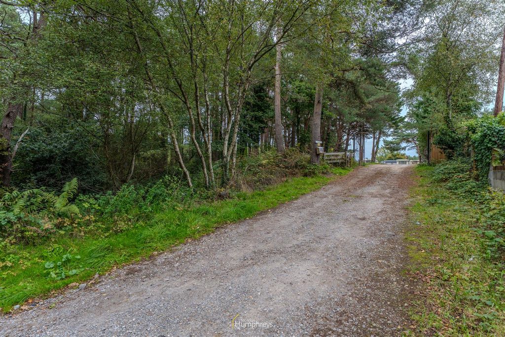 Property photo 3 of 6 Forest View-1.Jpg