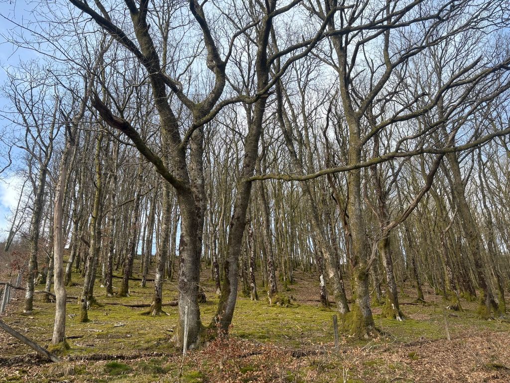 Property photo 2 of 4