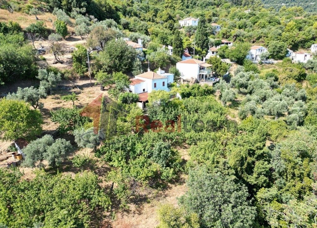 Property photo 3 of 25