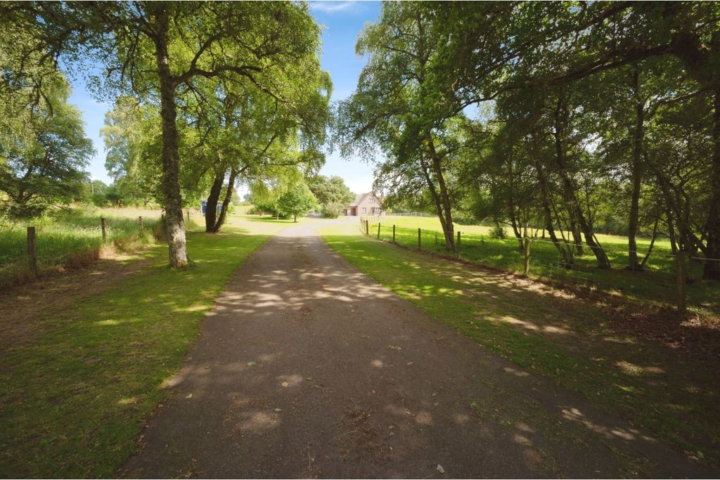 Property photo 3 of 23 Driveway