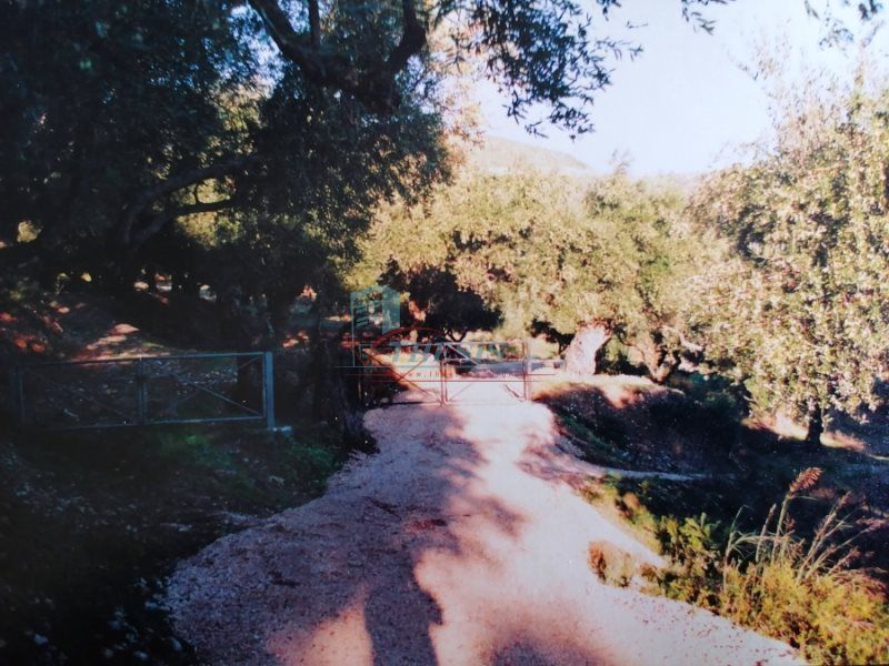 Property photo 3 of 5