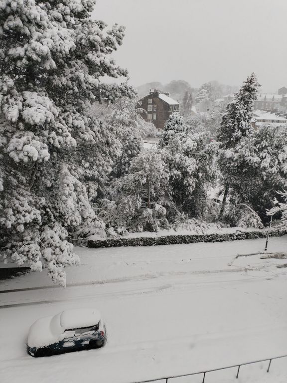 Property photo 3 of 18