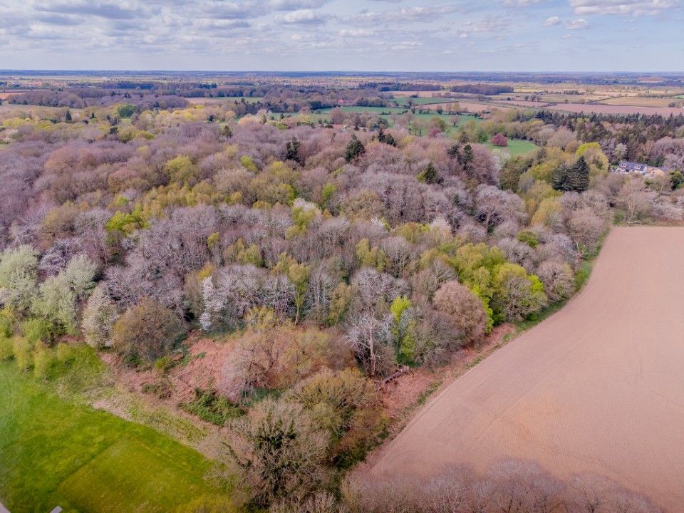 Additional image 30 of 3 bed detached house for saleRackheath, Norwich NR13