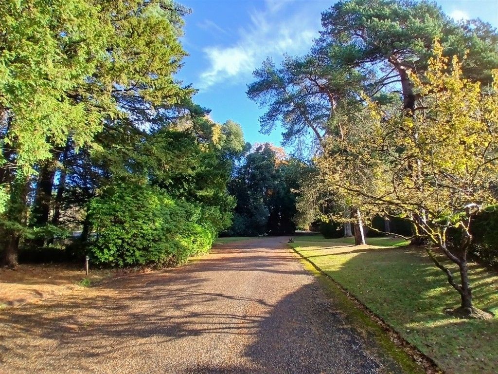 Property photo 3 of 6