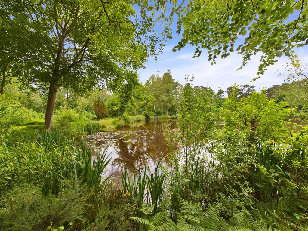 Property photo 2 of 47 Photo 6