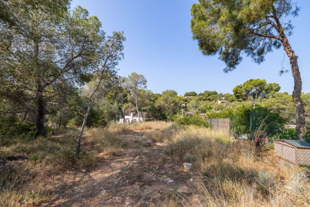 Property photo 3 of 11 Plot (5)