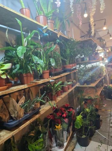 Property photo 2 of 4 Photo 2