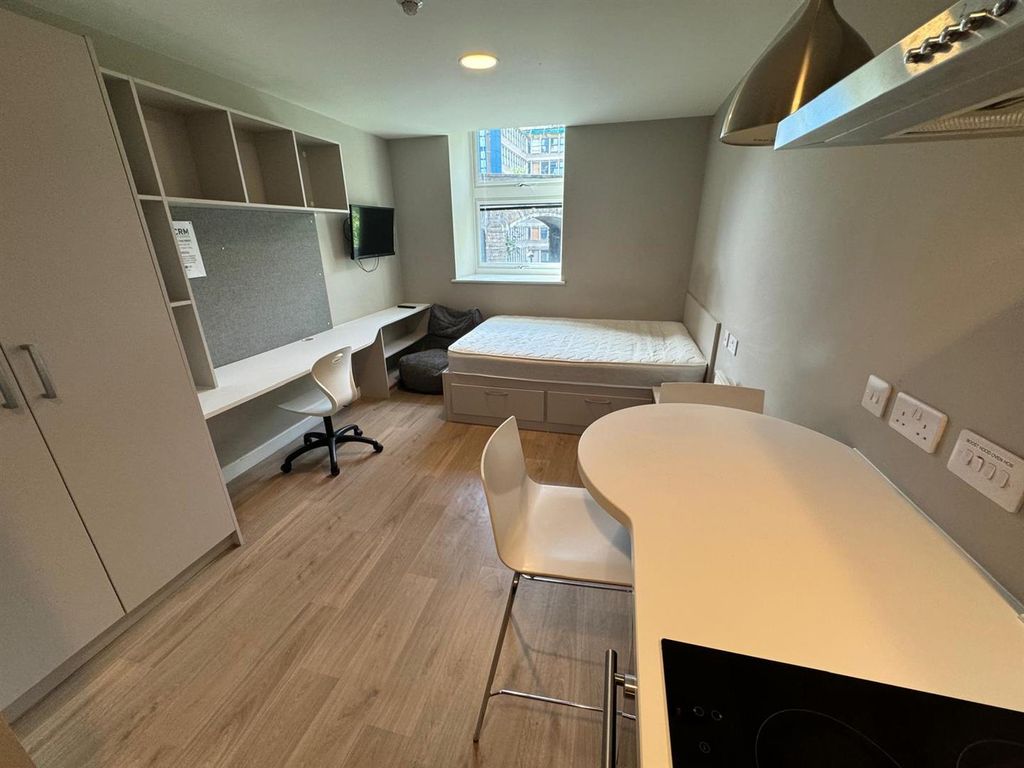 Property photo 3 of 9 Tyne Bridge Standard Studio View From Kitchen.Jpg