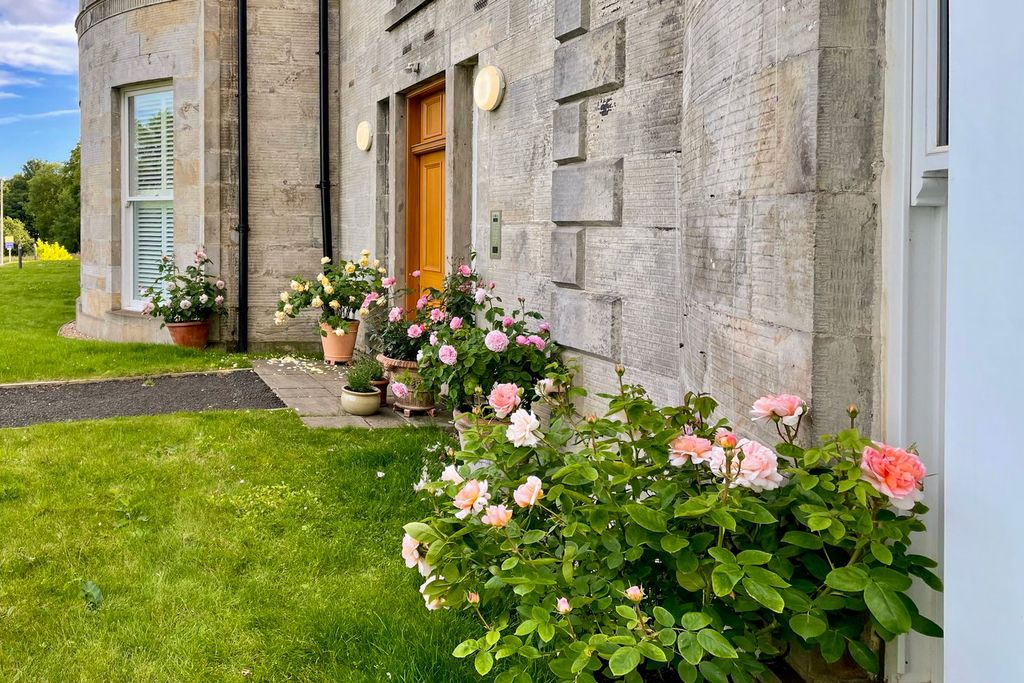 Property photo 3 of 42