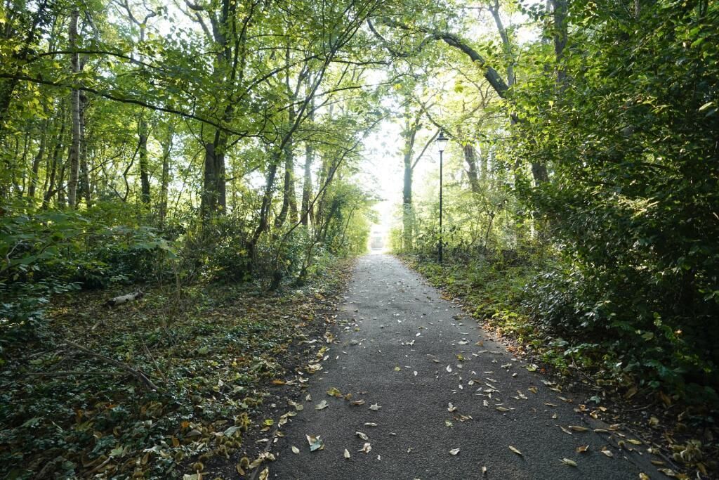 Property photo 3 of 4 130351_502012_001726_Img_04_0000.Jpeg