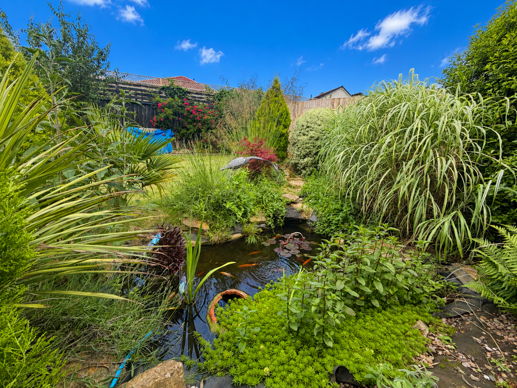 Property photo 3 of 11 Rear Garden