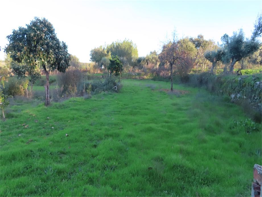 Property photo 3 of 45