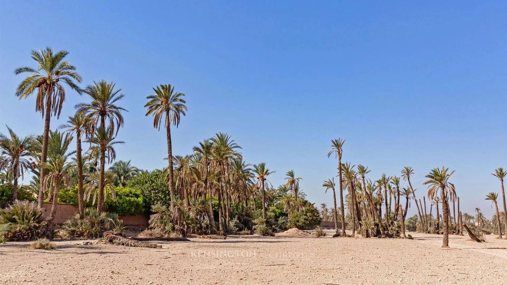 Property photo 2 of 5 Click Here If You Are Looking For A Land For Sale In Marrakech Land Damascus From Kensingtonmorocco.Com – Morocco’S Leading Property Experts