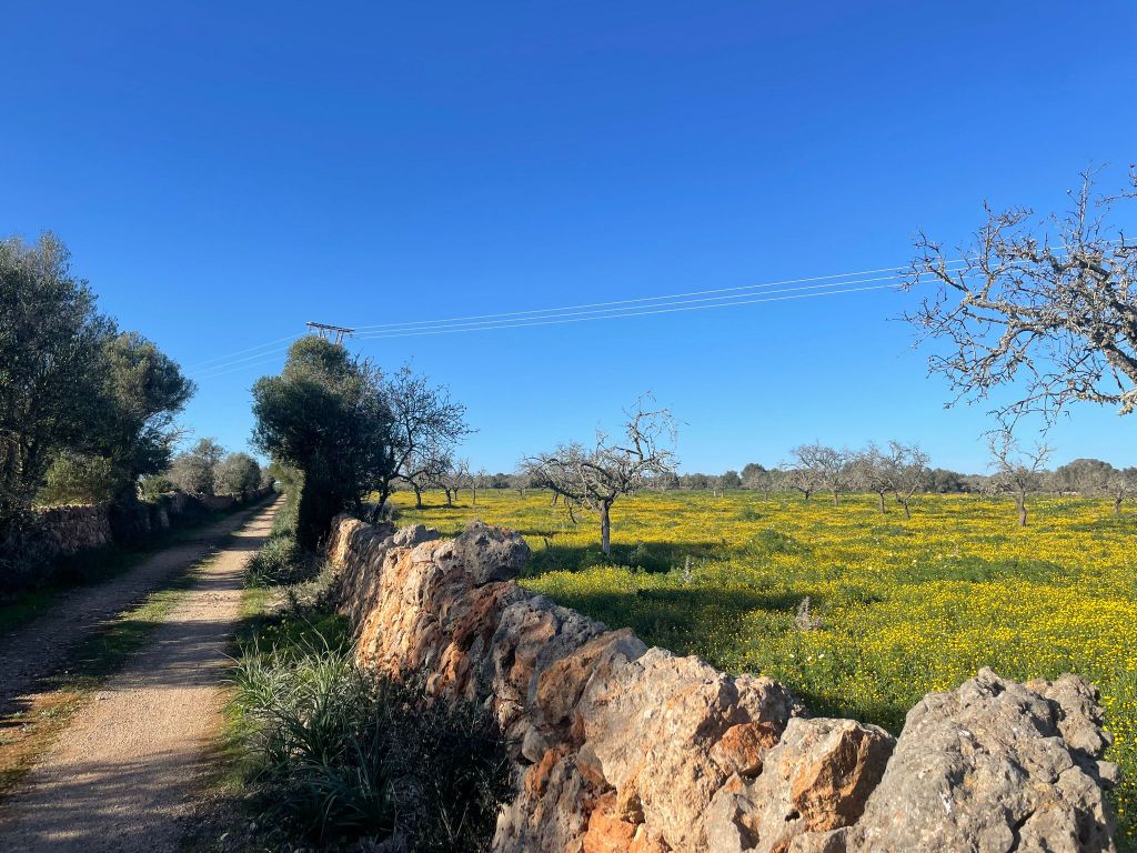 Property photo 2 of 4 01.Jpeg