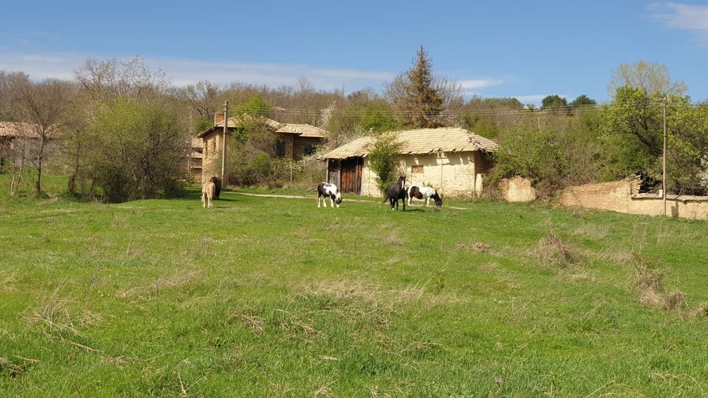 Property photo 2 of 40 Green Field With Four Horses Grazing Near Old Village Buildings Under A Blue Sky