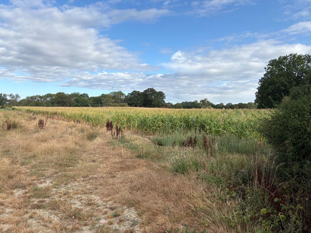 Property photo 3 of 5 Ghassans - Lot 2