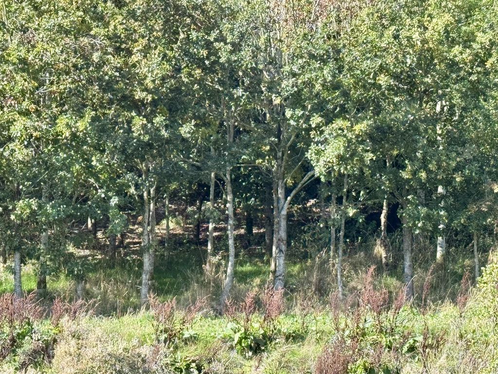 Property photo 3 of 3