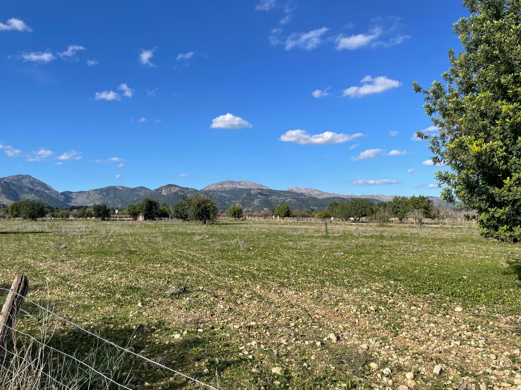 Property photo 1 of 3 1 Mallorca Finca Land With Project Building Permit.Jpg