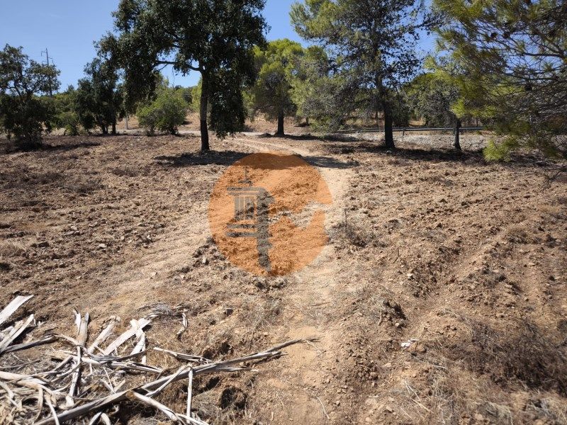 Property photo 3 of 36