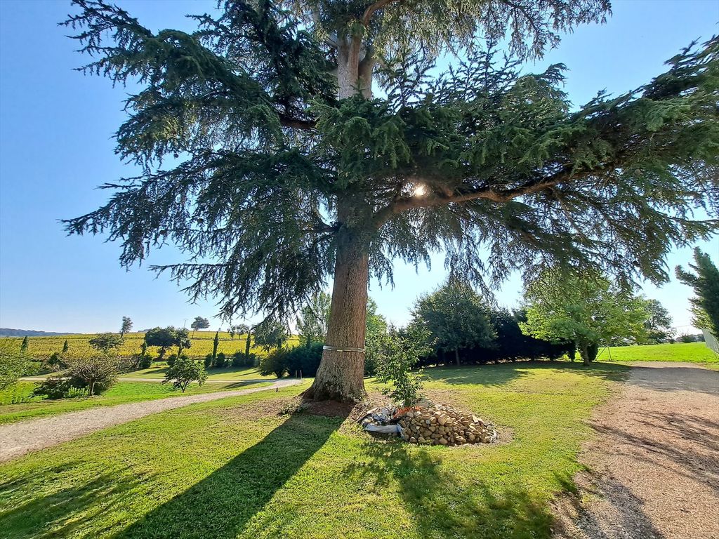 Property photo 3 of 29