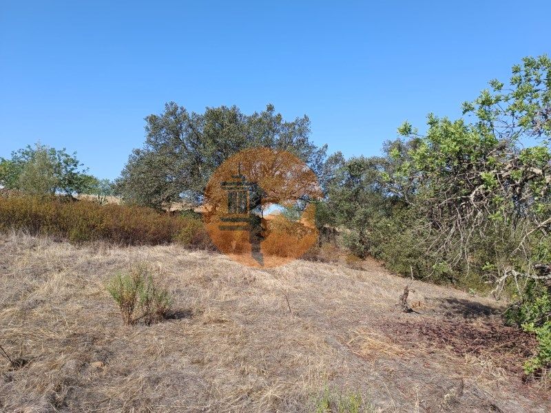 Property photo 1 of 35