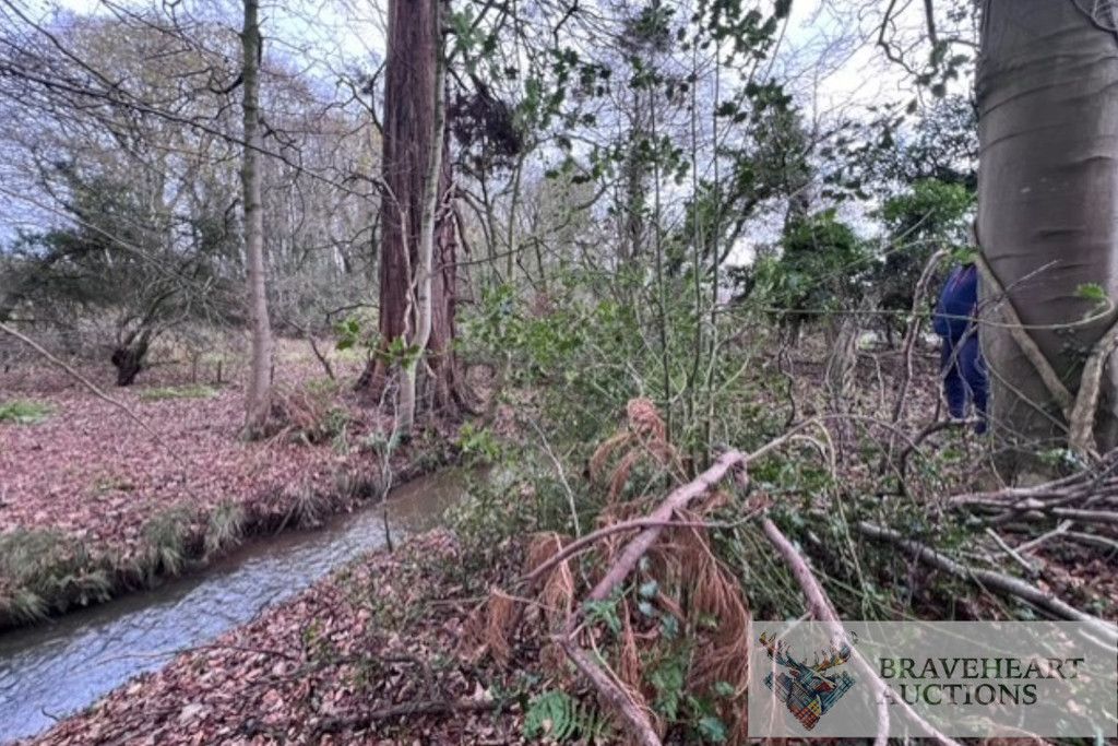 Additional image 7 of Land for saleBurns Country 1, Sundrum Castle, Ayr KA6