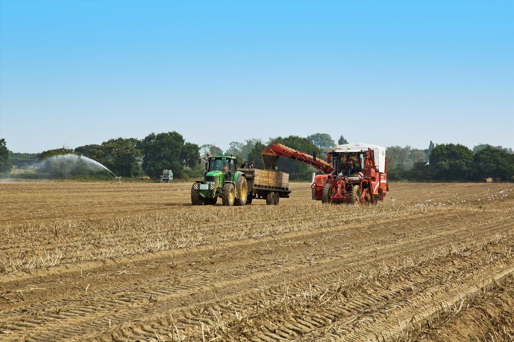 Additional image 15 of 8 bed farm for saleGreat Oakley Hall Estate, Essex CO12