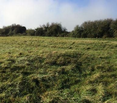 Property photo 3 of 5 Site Image 1.Jpg