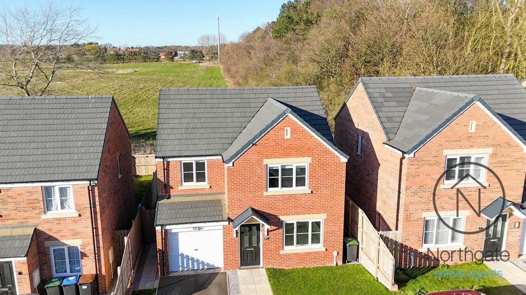 Property photo 1 of 19 Birch Way, Newton Aycliffe