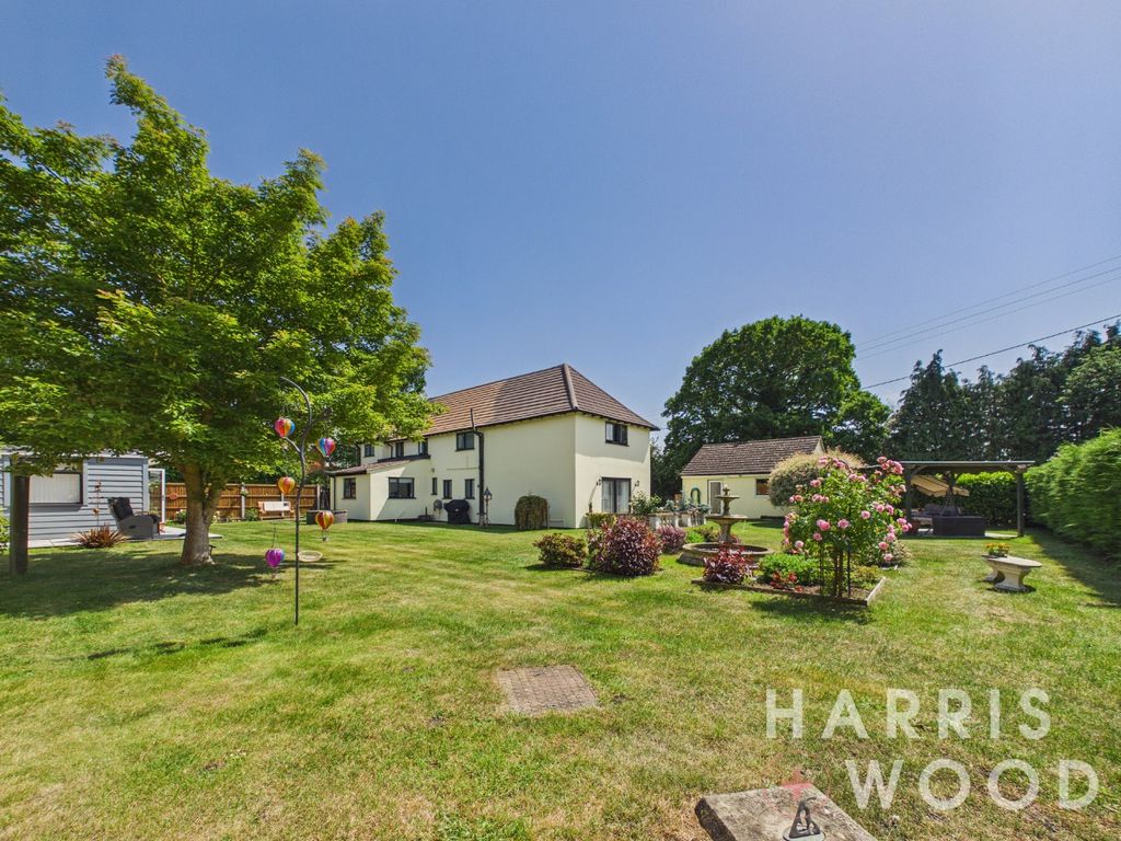 Property photo 1 of 45 4877131