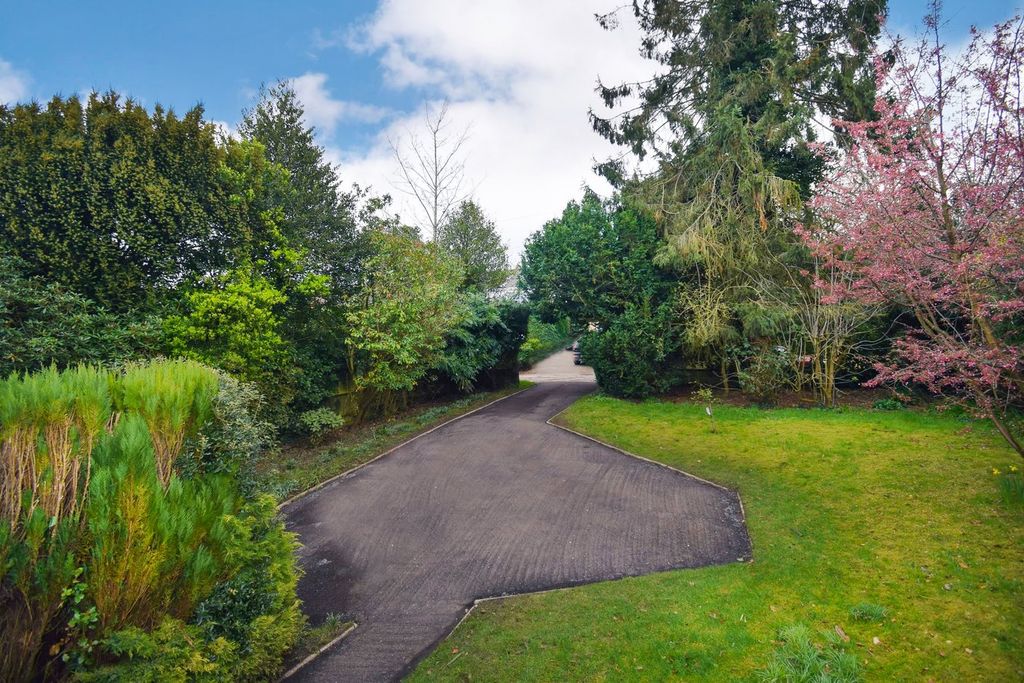 Property photo 3 of 22