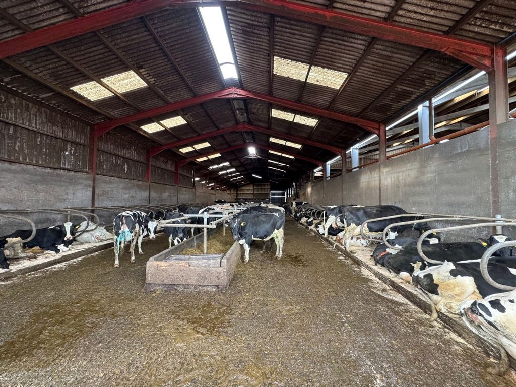 Property photo 2 of 43