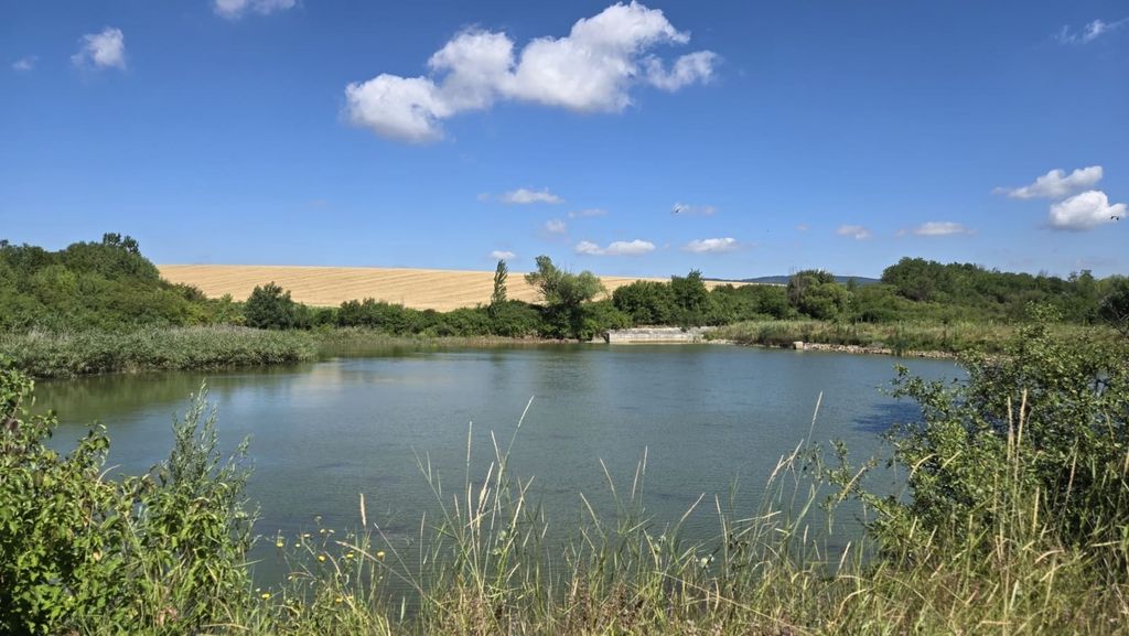 Property photo 3 of 59 Fishpond Surrounded By Green Plants And A Golden Field Visible Beyond Under A Bright Blue Sky With Clouds.