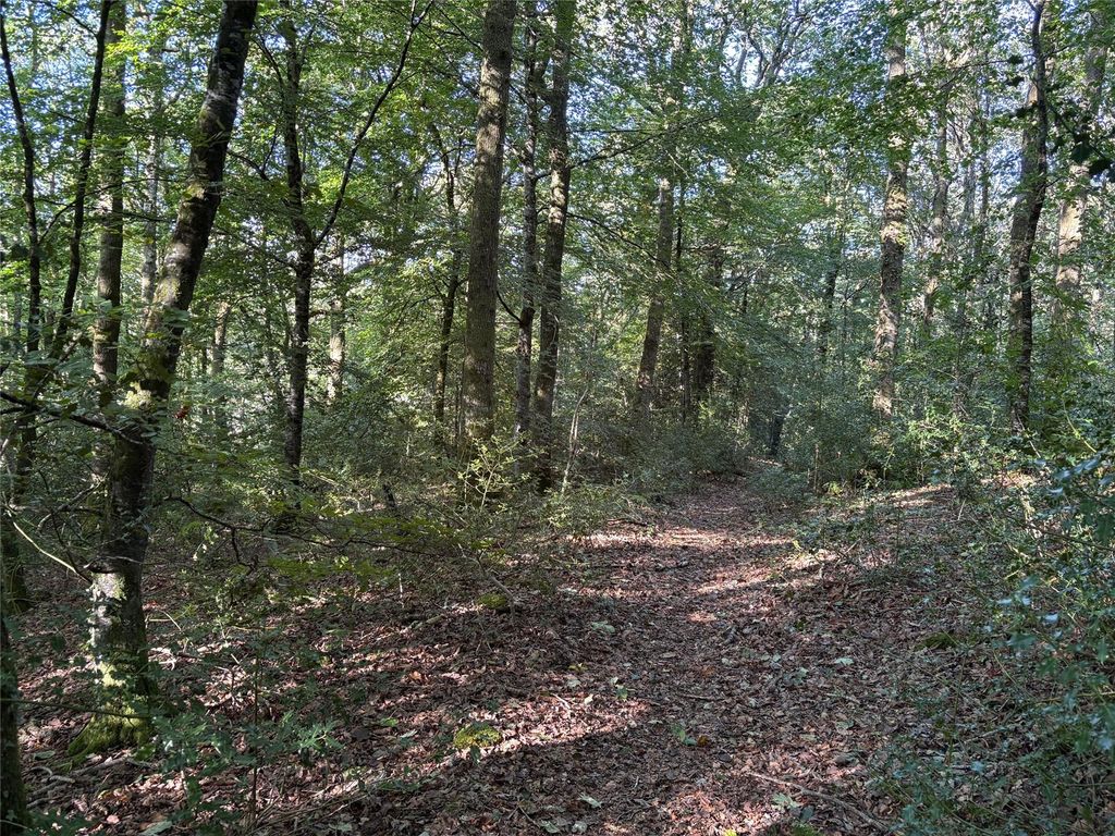 Property photo 3 of 6 Picture No. 06