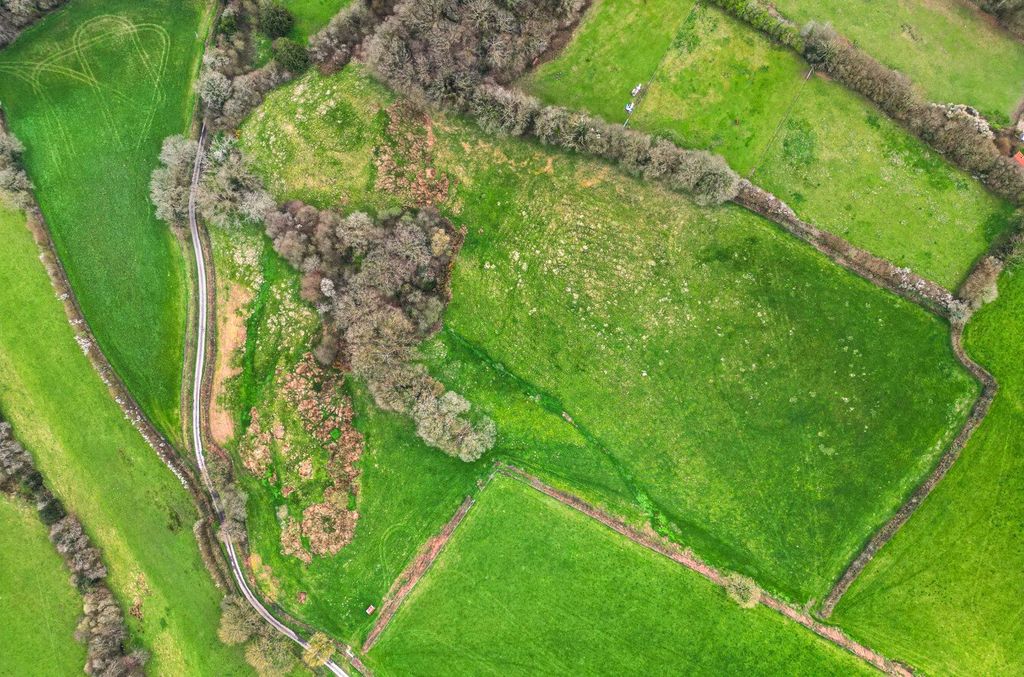 Property photo 3 of 15 Picture No. 03