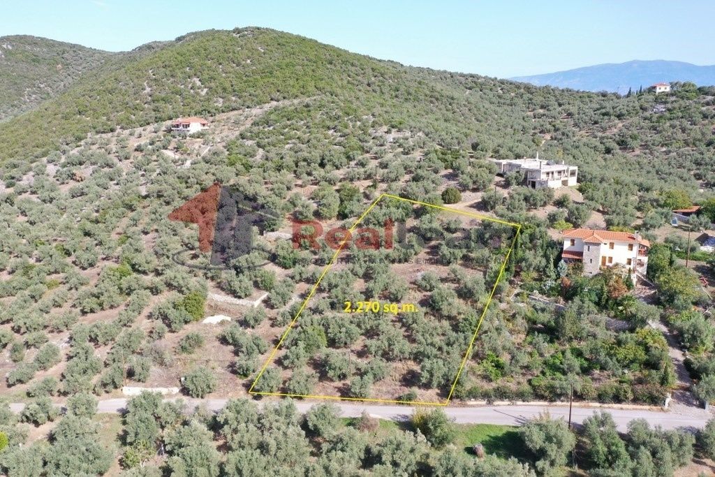 Property photo 3 of 24