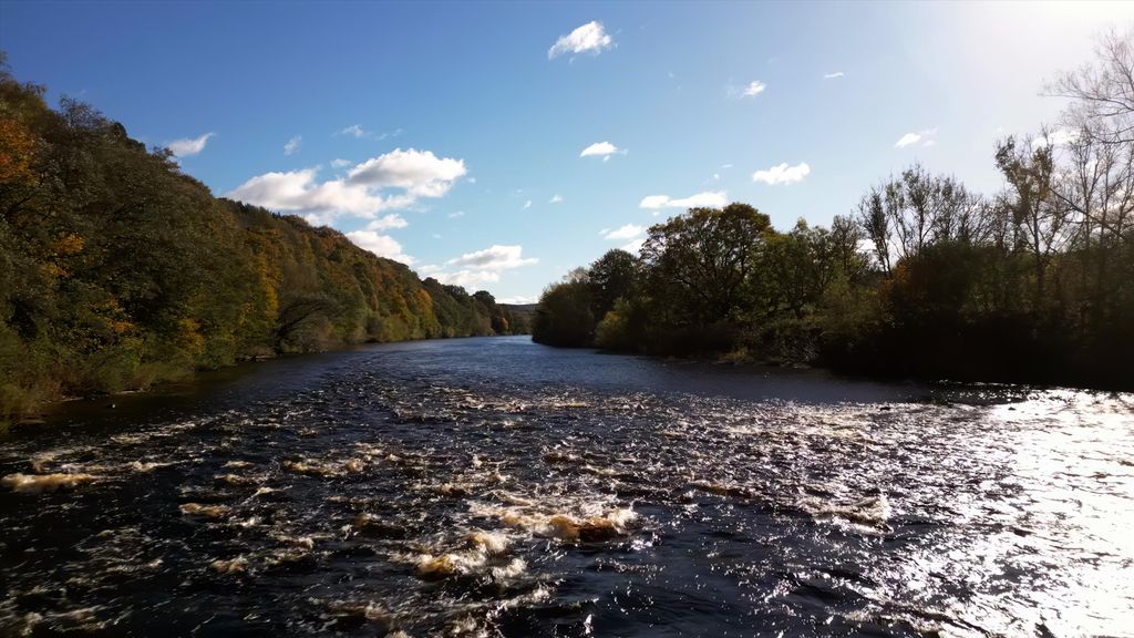 Property photo 3 of 19 Image