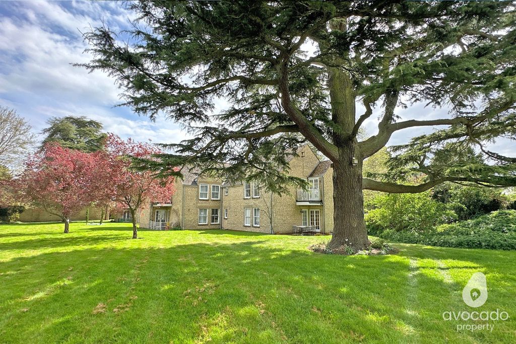 Property photo 1 of 19 4095484