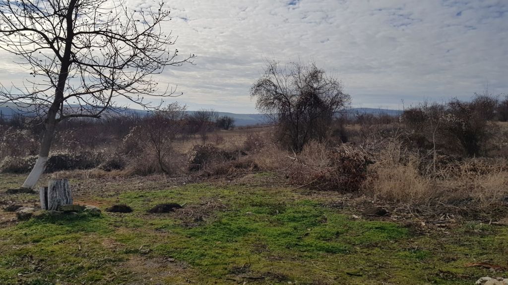 Property photo 1 of 7 A Large Open Piece Of Rural Land Featuring Scattered Leafless Trees And Patches Of Green Grass Under A Cloudy Sky.
